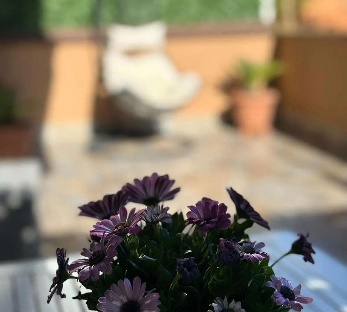Zefiro Ostia Apartment Italy